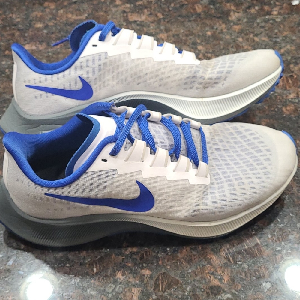 Nike Pegasus 37